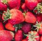 Preview: Erdbeeren